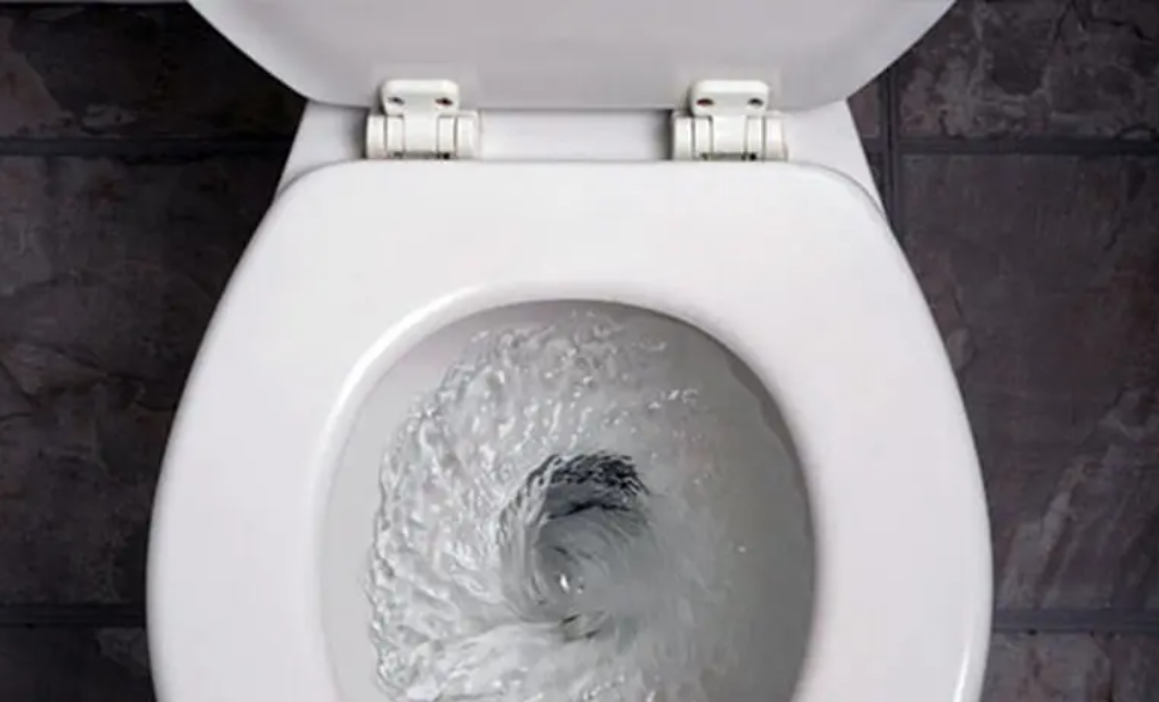 All-Natural Toilet Bombs