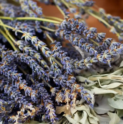 White Sage & Lavender Shampoo & Body Natural Soap