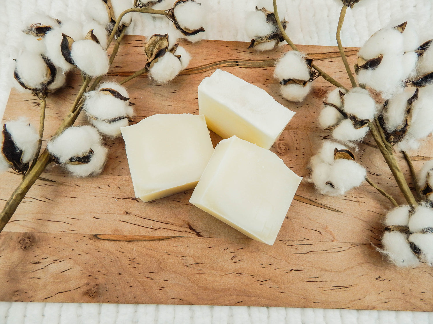 Tallow Products